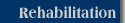 Rehabilitation