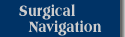 Surgical Navigation