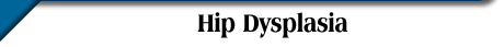 Hip Dysplasia
